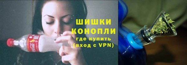 амф Алексин