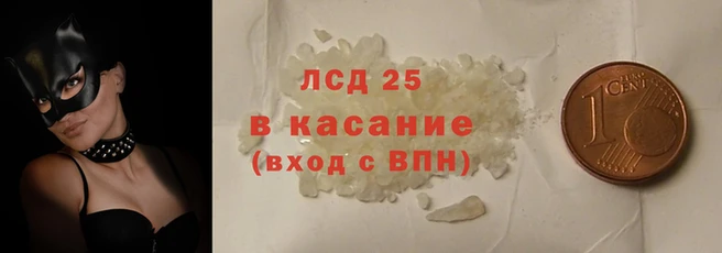 стаф Алзамай