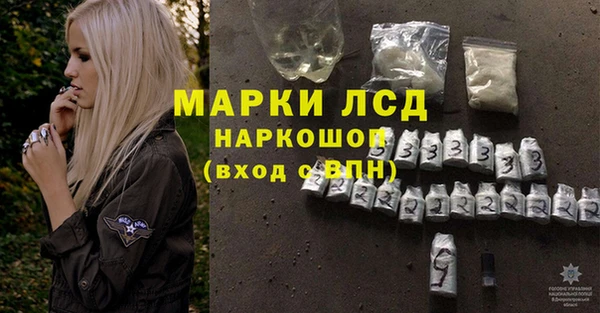 стаф Алзамай