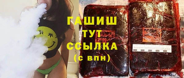 стаф Алзамай